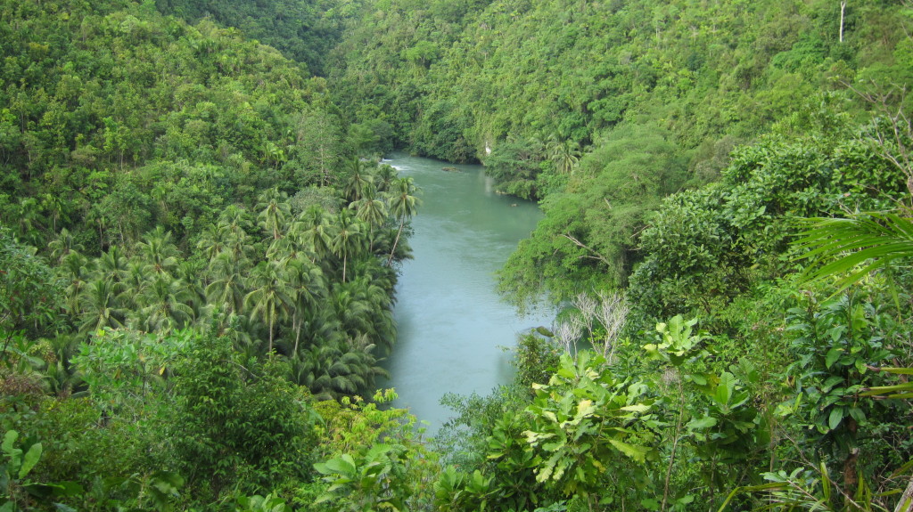 Bohol